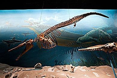 动作冒险游戏《Gunbrella》实机演示 年内发售