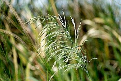 虚幻引擎5重制《塞尔达传说：时之笛》视频欣赏